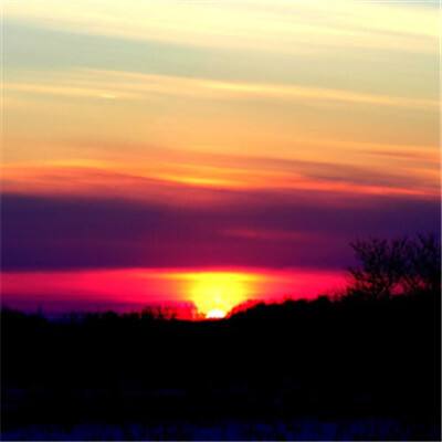 乐鱼app官网最新版下载