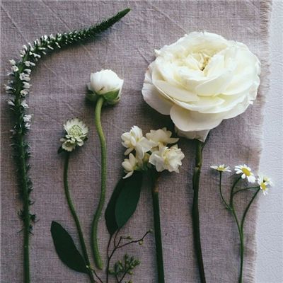 ld乐动体育·中国登录入口